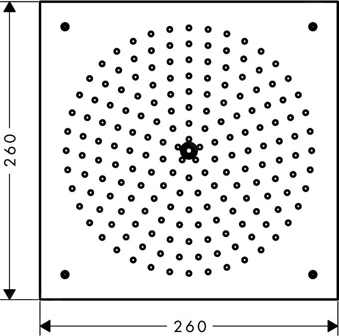 Hansgrohe Raindance - Hoofddouche 260, Chroom 26472000 - Afbeelding 2