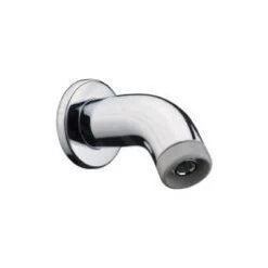 Hansgrohe Aktiva - Douchearm 100 Mm, Chroom 27438000