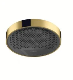 Hansgrohe Rainfinity - Hoofddouche 250, 1 Jet, Gepolijst Goud 26228990